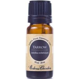  Yarrow 100% Pure Therapeutic Grade Essential Oil  10 ml 