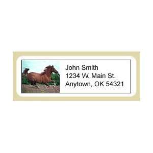  Arabian Horse Address Labels
