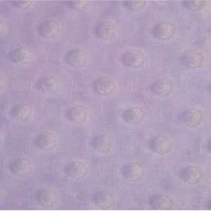  Minky Dot Fabric   Lavender Arts, Crafts & Sewing