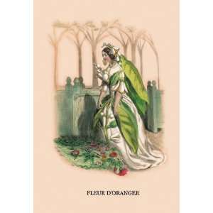  Fleur dOranger 20x30 poster