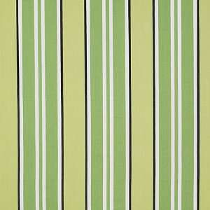  Mason Lime by Pinder Fabric Fabric