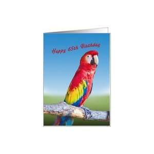  Birthday, 65th, Macaw Parrot Card Toys & Games