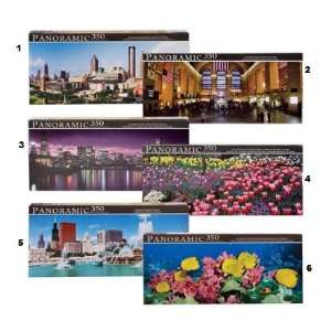  Panoramic 350 Piece Puzzles Toys & Games