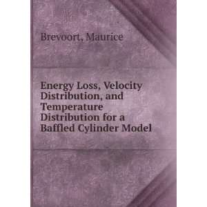  Energy Loss, Velocity Distribution and Temperature Distribution 