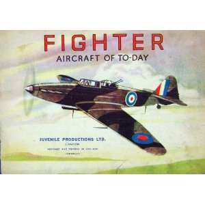  Fighter Aircraft War Aeroplane Royal Air Force