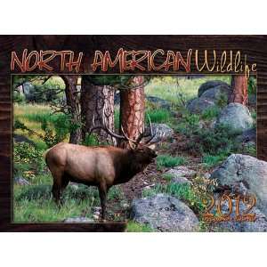    North American Wildlife 2012 Wall Calendar