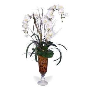  Leopard Orchid Floral Arrangement