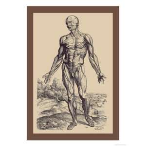 First Plate of the Muscles by Andreas Vesalius 12x18  