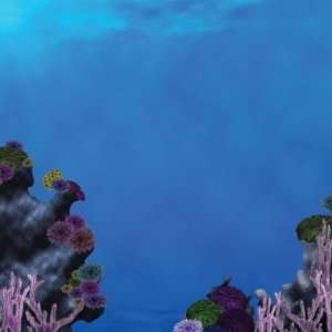   Under The Sea Coral Reef 12 x 12 Double Sided Paper Arts, Crafts