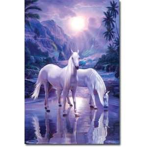  Christian Riese Lassen   Horse   Peaceful Moment POSTER 