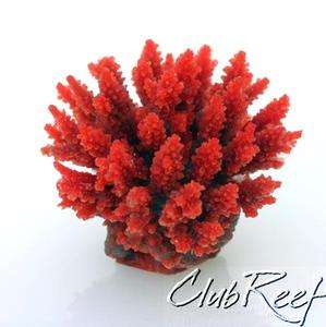 Red Seriatopora SPS Artificial Birds Nest Coral  