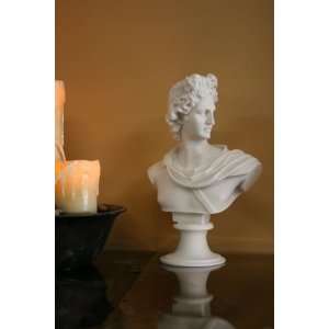  Apollo of Belvedere Bust 12 Inches Tall White Marble 