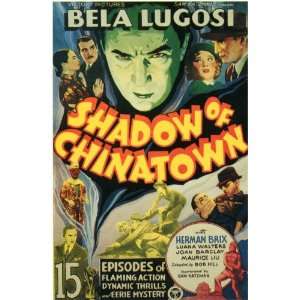 Shadow of Chinatown Movie Poster (11 x 17 Inches   28cm x 44cm) (1936 