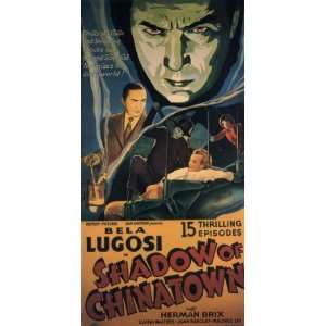  Shadow of Chinatown Movie Poster (11 x 17 Inches   28cm x 