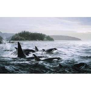  Persis Clayton Weirs   Free Spirits   Orcas
