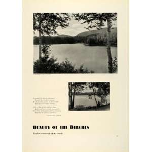 1931 Print Camera Photography White Birch Trees Lake Gertrude Jones 