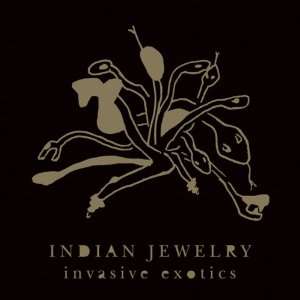  Invasive Exotics [Vinyl] Indian Jewelry Music
