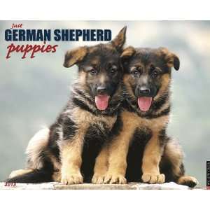  German Shepherd Puppies 2013 Wall Calendar Office 