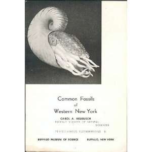    Common Fossils of Western New York Carol A. Heubusch Books