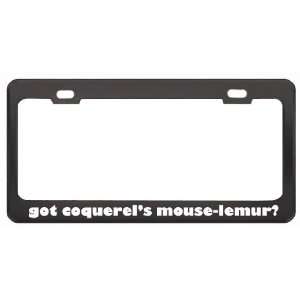 Got CoquerelS Mouse Lemur? Animals Pets Black Metal License Plate 