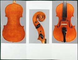 fine certified Italian violin Pedrazzini sc, ca. 1960  