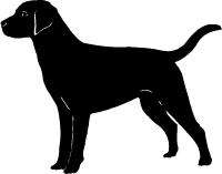 Black Lab Labrador Retriever Dog Sticker Decal 8  