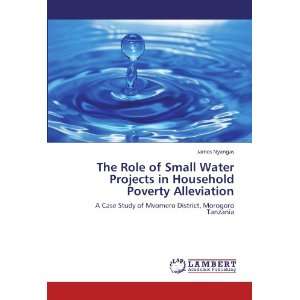 com The Role of Small Water Projects in Household Poverty Alleviation 