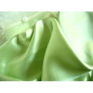  Green 100% Mulberry Silk Pillowcase for Hair and Facial 