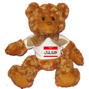  HELLO my name is JULIUS Plush Teddy Bear with WHITE T 