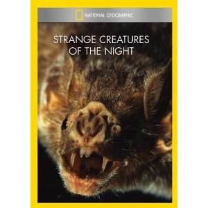  Strange Creatures of the Night Movies & TV