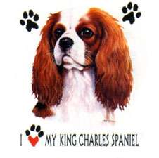 CAVALIER KING CHARLES SPANIEL fabric panel & paws fabrc  