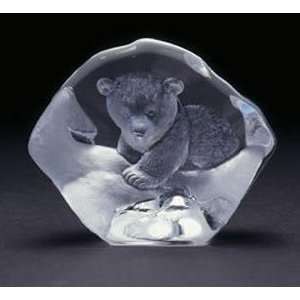  Polar Bear Cub Crystal