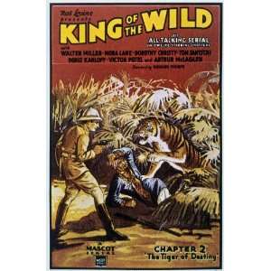 King of the Wild   Movie Poster   11 x 17 