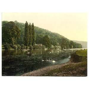  Photochrom Reprint of Cliveden Woods, from ferry, London 