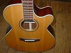 parkwood guitar  