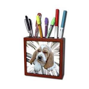  Dogs Basset Hound   Basset Hound Puppy   Tile Pen Holders 