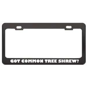 Got Common Tree Shrew? Animals Pets Black Metal License Plate Frame 
