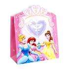 Disney Princess 5 Pack    Disney Princess Five Pack