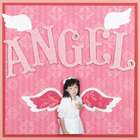 Mc Gill Designer Punch Angel Wings