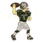 CC Sports Decor 44 Lighted NCAA Michigan State Animated Lawn Football 