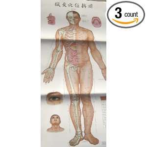 Set of 3 Human Acupuncture Points Charts, 20 X 38  