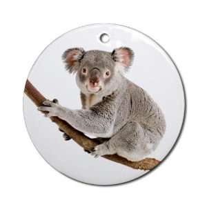  Ornament (Round) Koala Bear on Branch 
