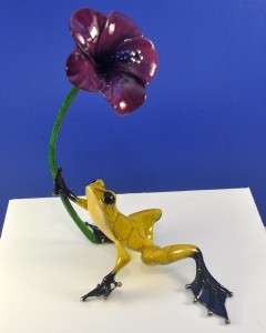 HIBISCUS Frogman Tim Cotterill RISE AND SHINE  