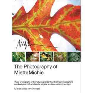 DDI Miette Photo Note Cards   Leaves 528239 