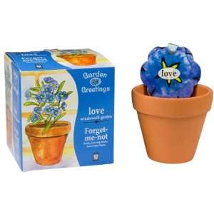  Love Windowsill Garden   Forget Me Not Toys & Games