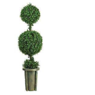 DSD 5 Double Ball Leucodendron Topiary w/Decorative Vase (Indoor 