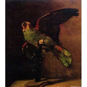  The Green Parrot