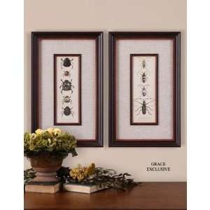    Uttermost 41266 Bug Collection Wall Art (Set of 2)