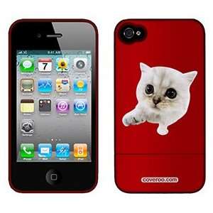  Persian Kitten on Verizon iPhone 4 Case by Coveroo  