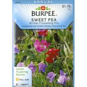  Burpee 44370 Sweet Pea Winter Flowering Mix Seed Packet 